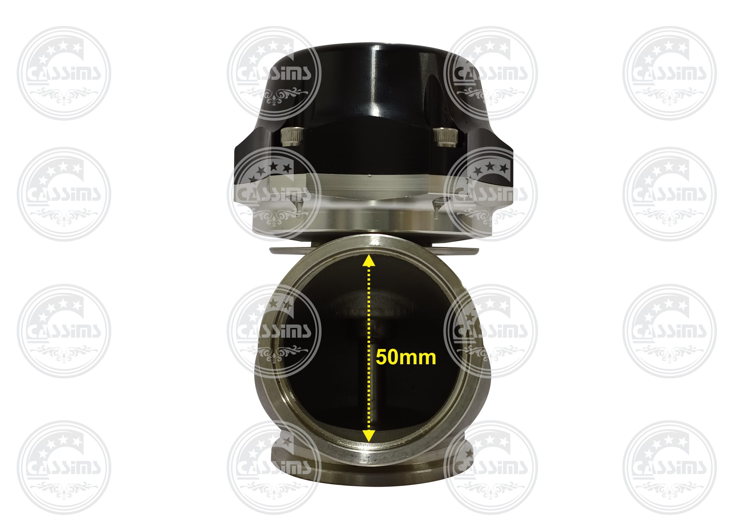 50mm Wastegate