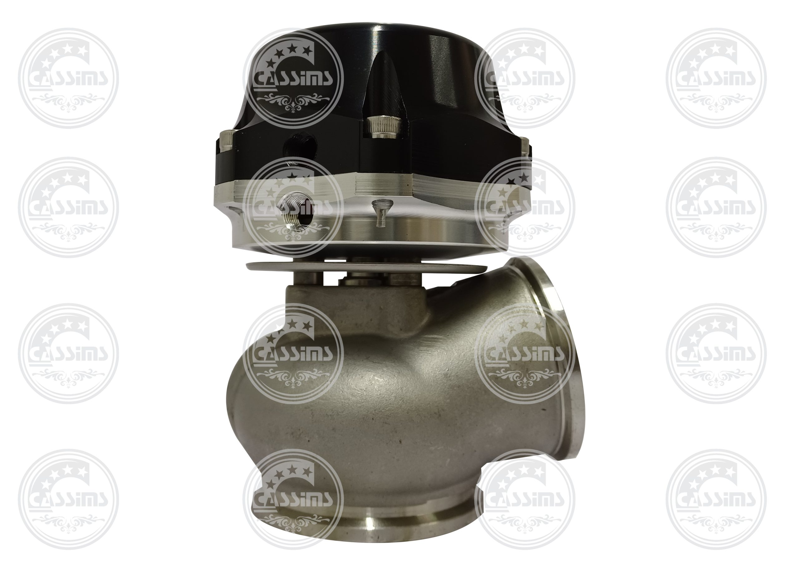 50mm Wastegate
