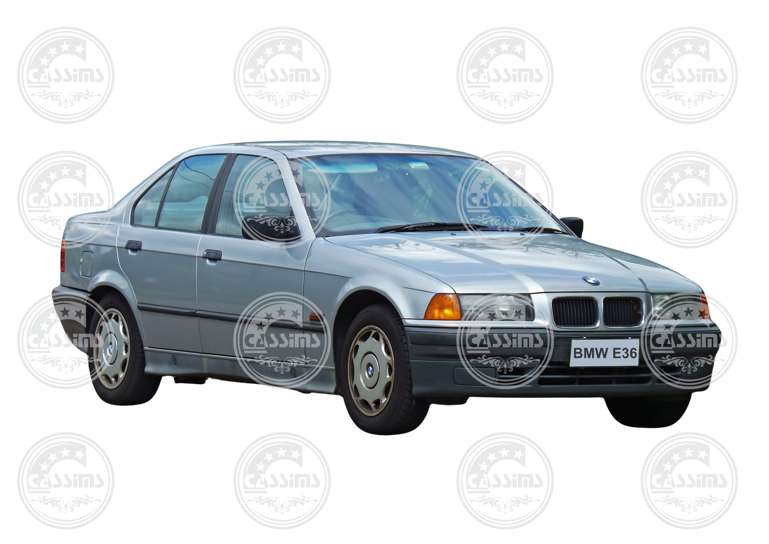 BMW E36 Kidney/Main Grilles - 1992-1996 2Pcs