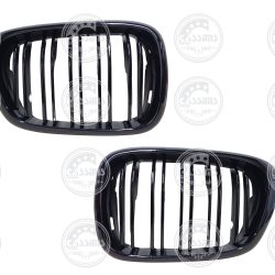 BMW E39 5 Series Kidney/Main Grilles 2Pcs