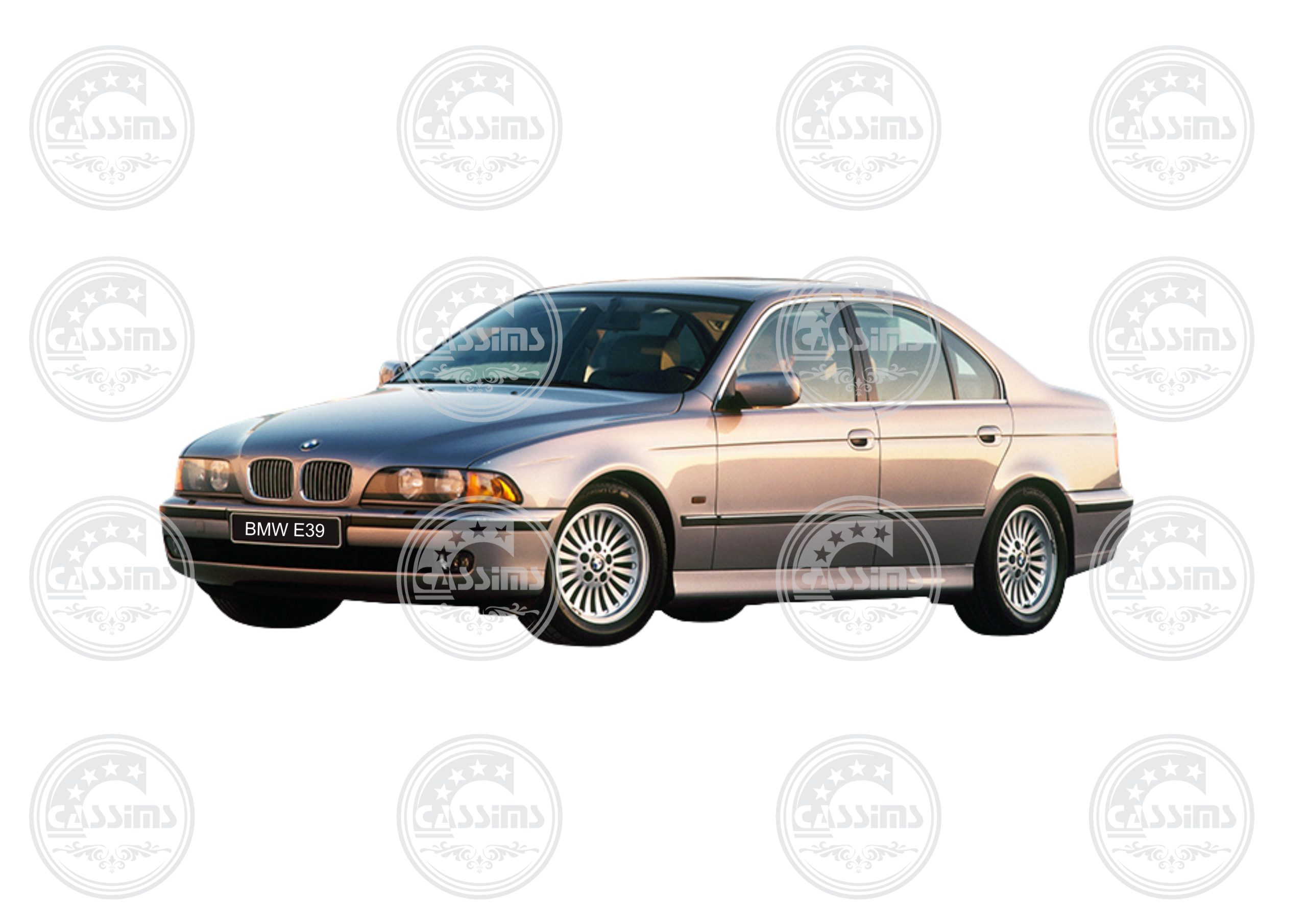 BMW E39 5 Series Kidney/Main Grilles 2Pcs