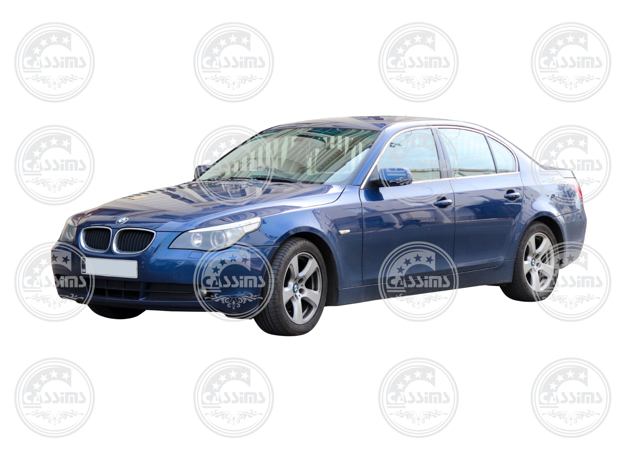 BMW E60 - Kidney/Main Grilles 2Pcs