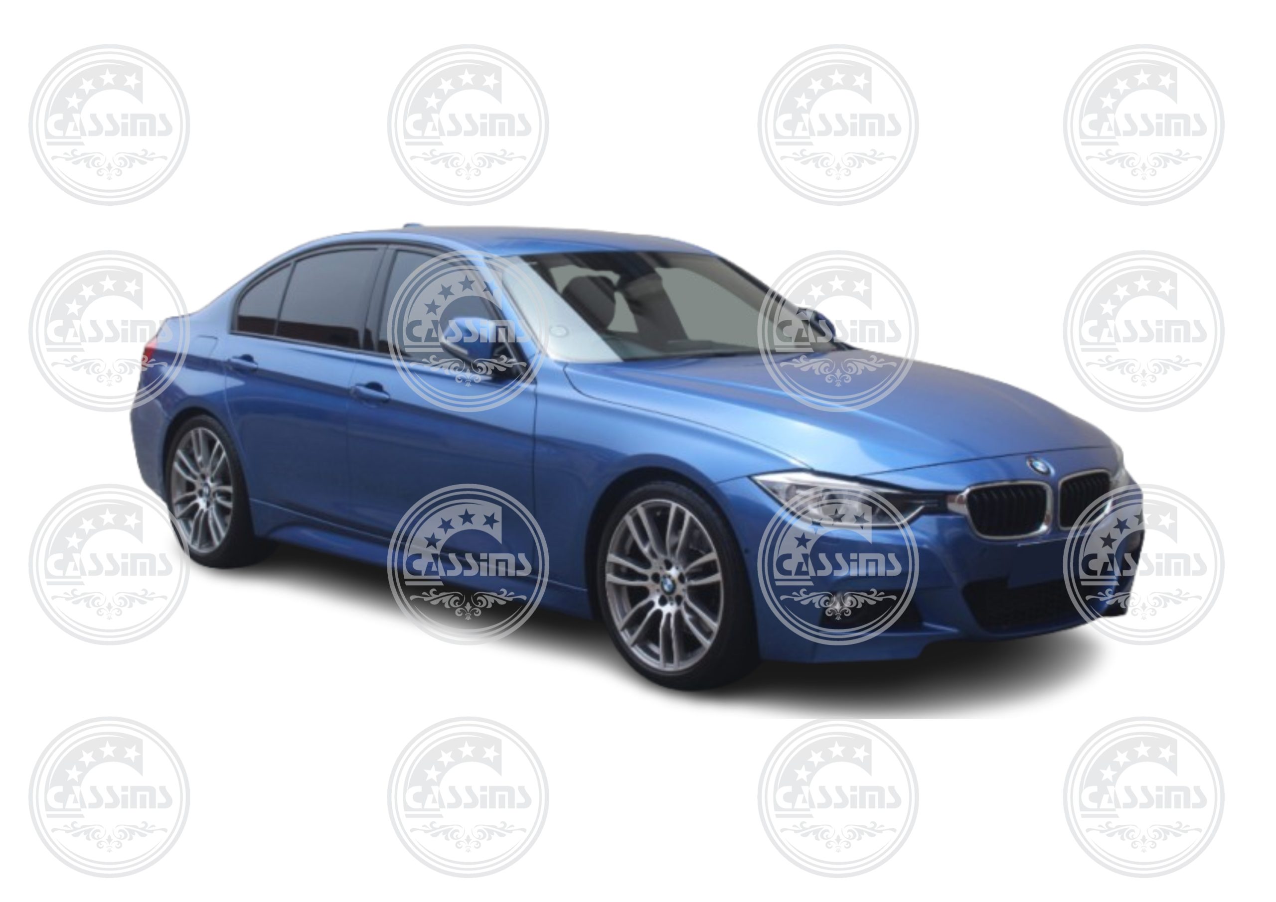 BMW F30 Series - Kidney Grilles - 2012-2018